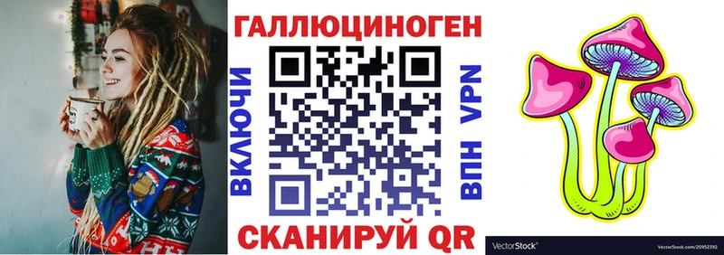 Псилоцибиновые грибы Psilocybe  закладки  Нытва 